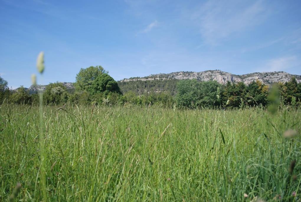 Le Cabanon Tendance Du Luberon Merindol Bagian luar foto